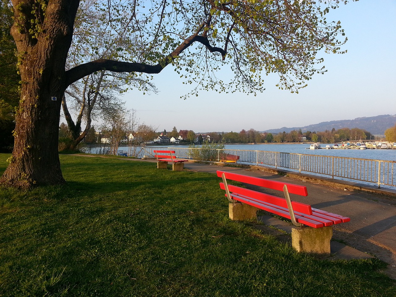 了新的战术 了新的战术