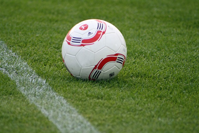 不断为国家 不断为国家