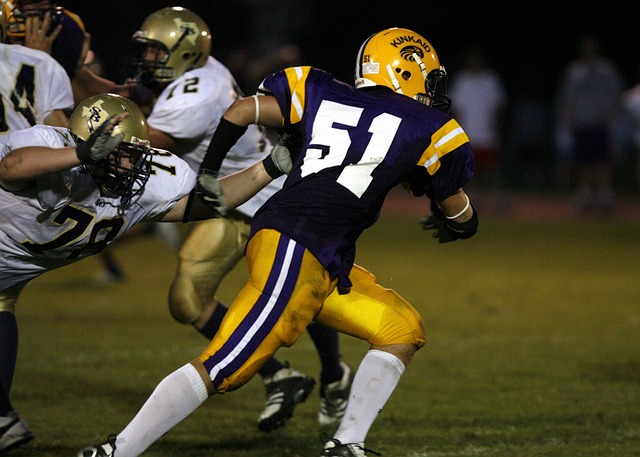 能意味着作 能意味着作