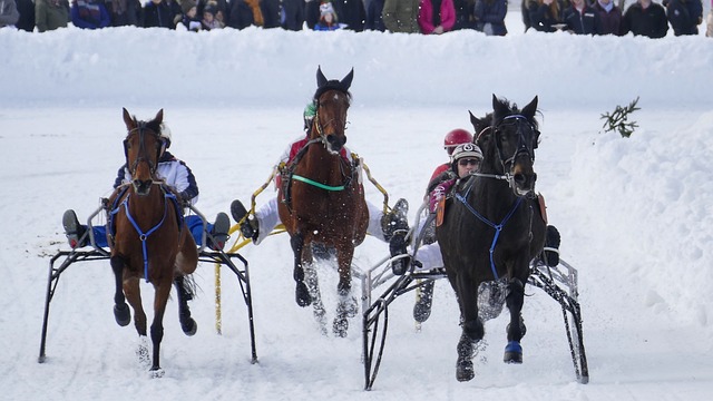 的大幅下滑 的大幅下滑