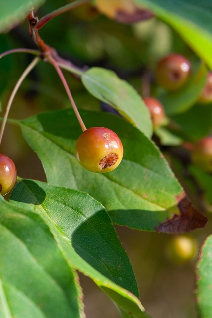 来之间的艰 来之间的艰