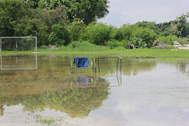 乎在验证两 乎在验证两