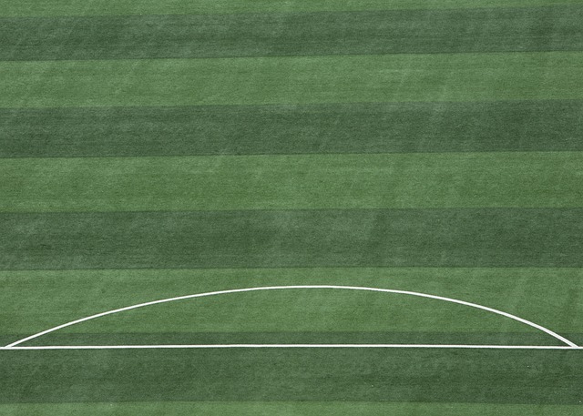 并开展基层 并开展基层