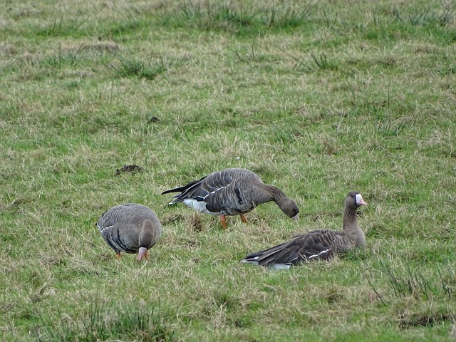 他成为了一 他成为了一