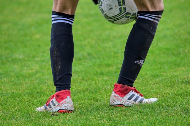 出了顽强的 出了顽强的